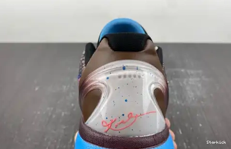  6 Kobe Protro 869457-00 Nike 0528